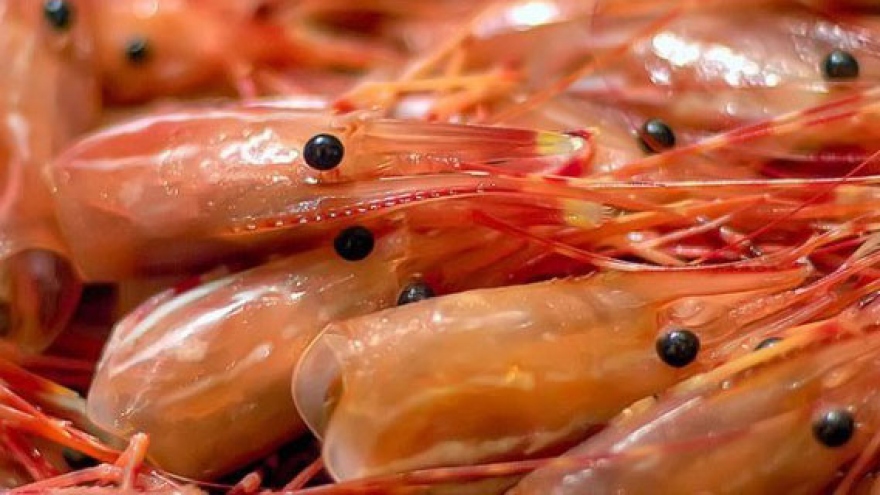 Start-up promises to transform shrimp industry