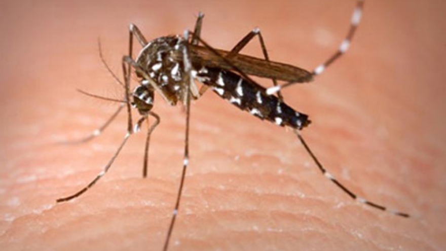 
        Vietnam reports 260% rise in dengue infections
                              