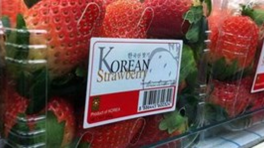 Korean strawberries cleared for Vietnamese market