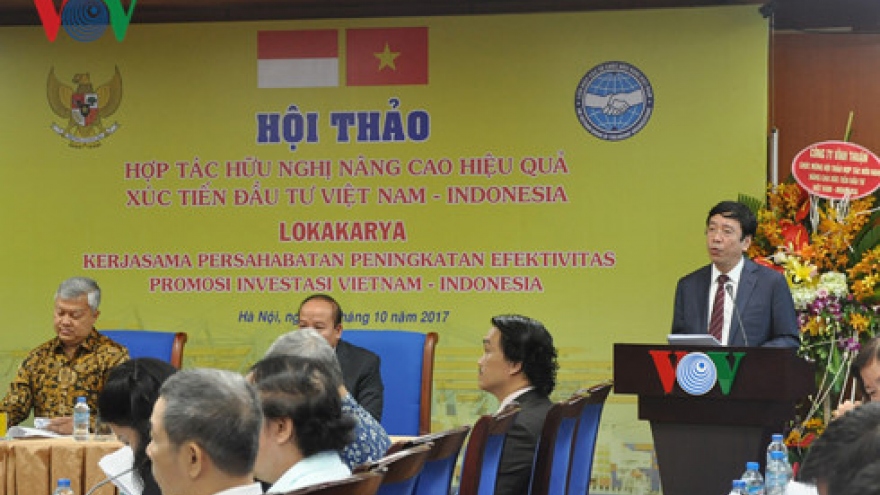 Improving efficiency of Vietnam – Indonesia investment promotion 