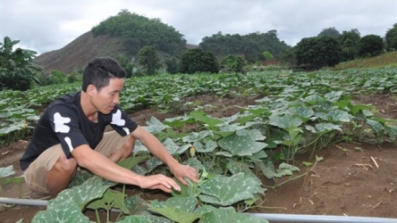 Ethnic minority youth inspired by Israeli farms