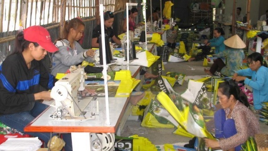 Experts suggest ways to develop rural workers’ vocational skills