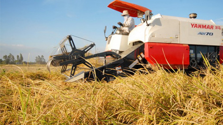 FDI bottlenecks in Mekong Delta