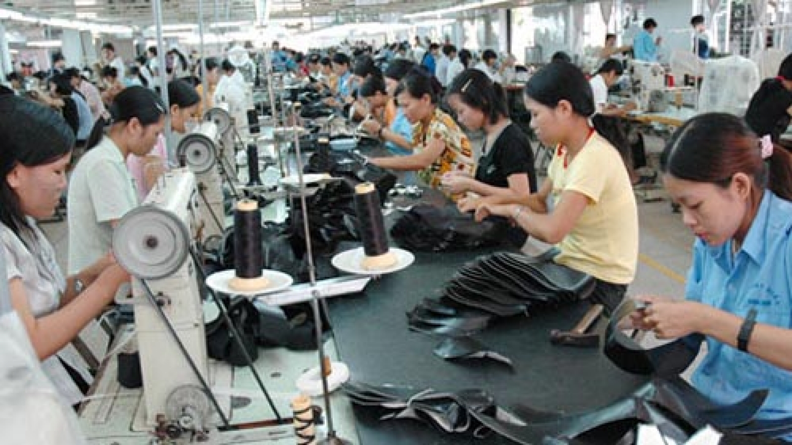 Rules of origin undermine the EU-Vietnam free trade pact