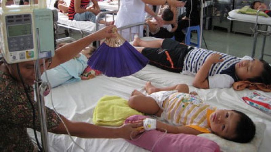 Ministry of Health forms working teams on dengue fever