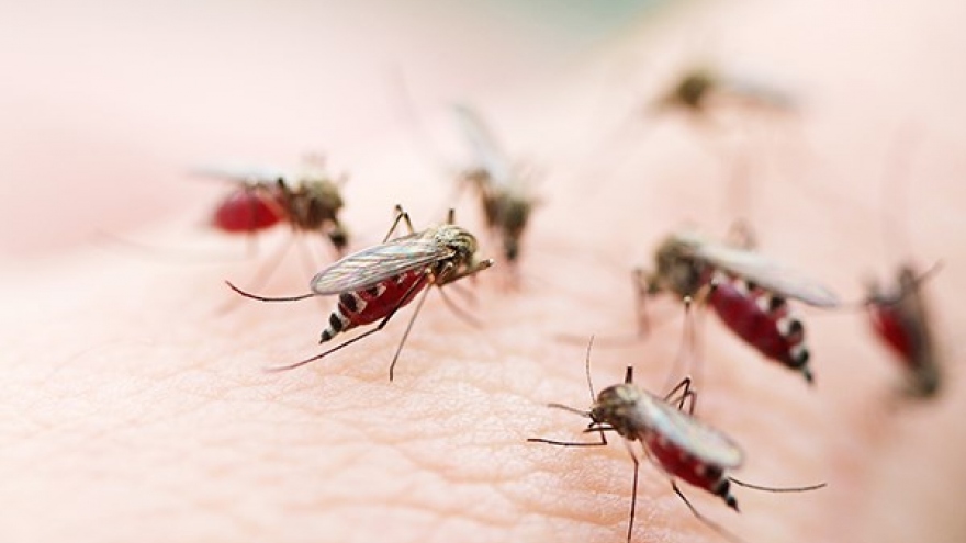 UK-funded dengue forecasting system introduced in Vietnam