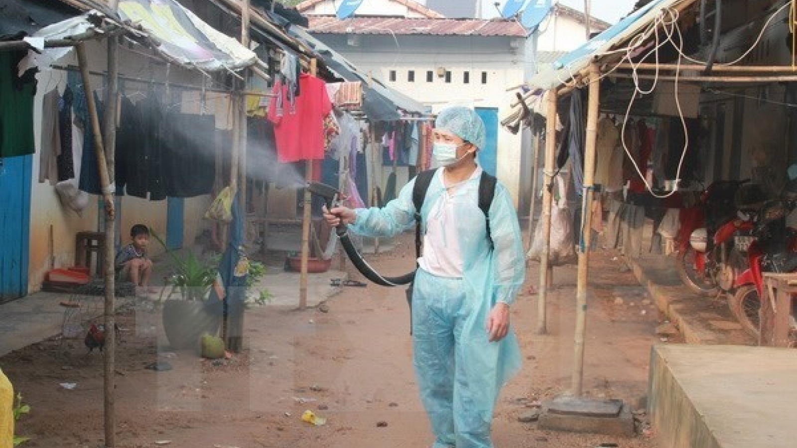 Central Highlands step up efforts to curb dengue fever