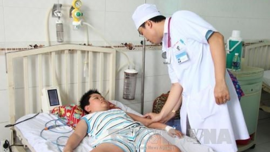 Dengue fever on the rise in Mekong Delta
