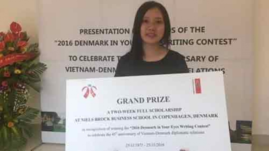 Writing contest marks Vietnam-Denmark diplomatic ties