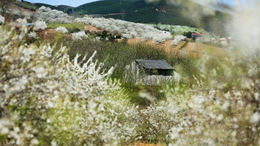 Destinations that see repeat visitors