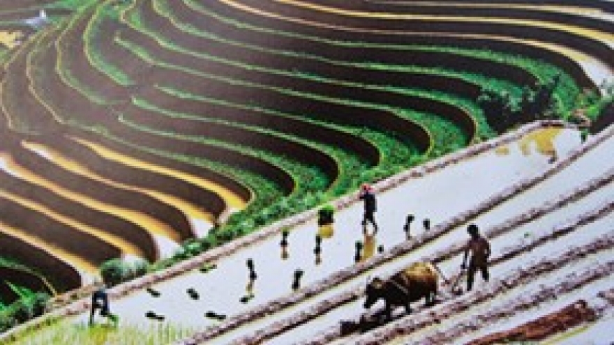 Vietnam’s heritage on show in Hanoi