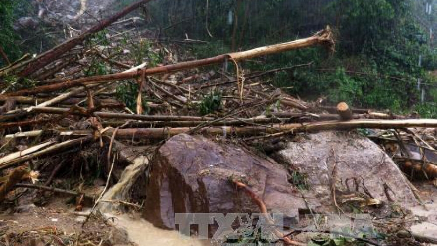 Lao Cai strives to mitigate climate change impact