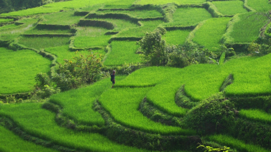Dien Bien aims to welcome over 400,000 visitors in 2014