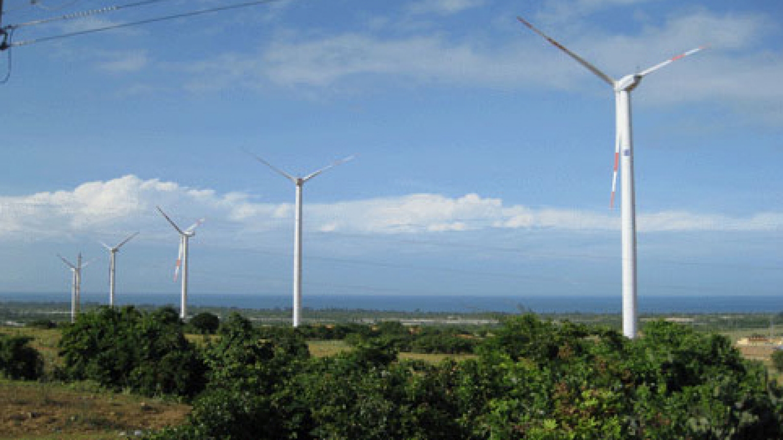 Investors eye Vietnam wind energy projects
