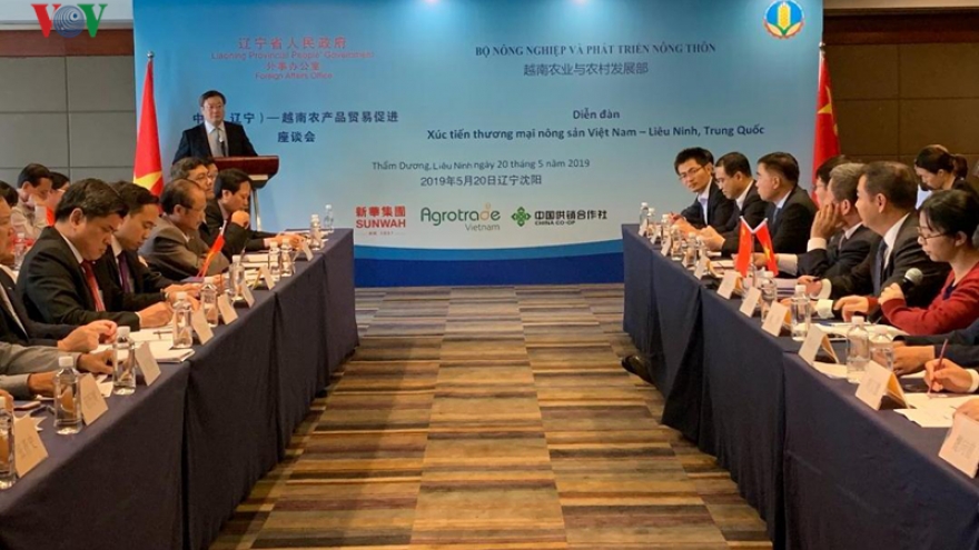 China still key market for Vietnamese farm produce