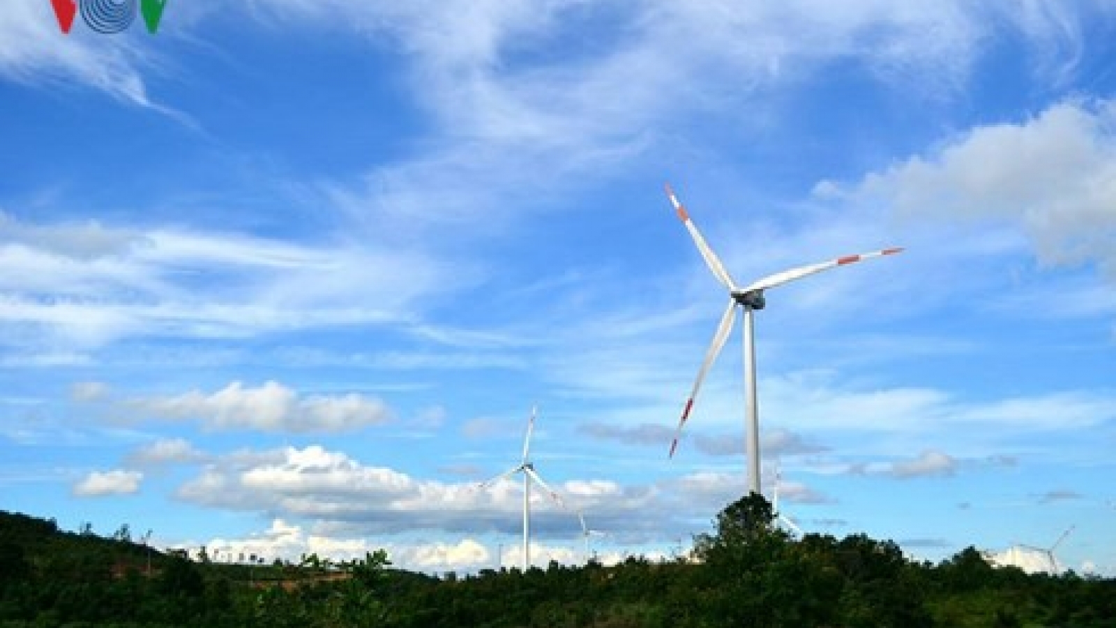 Vietnam contributes to climate change response