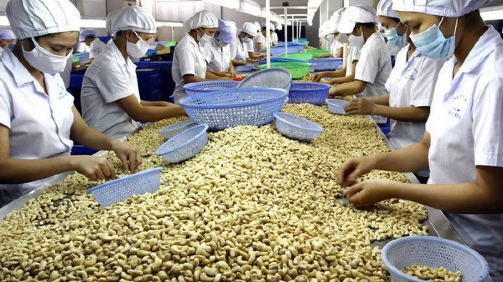 Dong Nai enjoys record trade surplus of US$2 billion