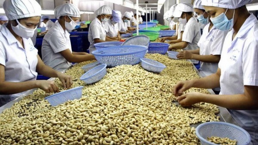 Dong Nai enjoys record trade surplus of US$2 billion