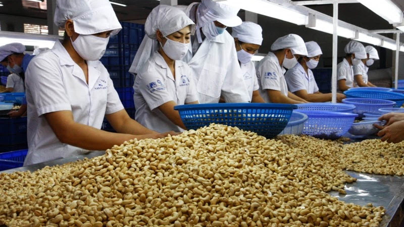 Agricultural exports flourish in first months of 2018