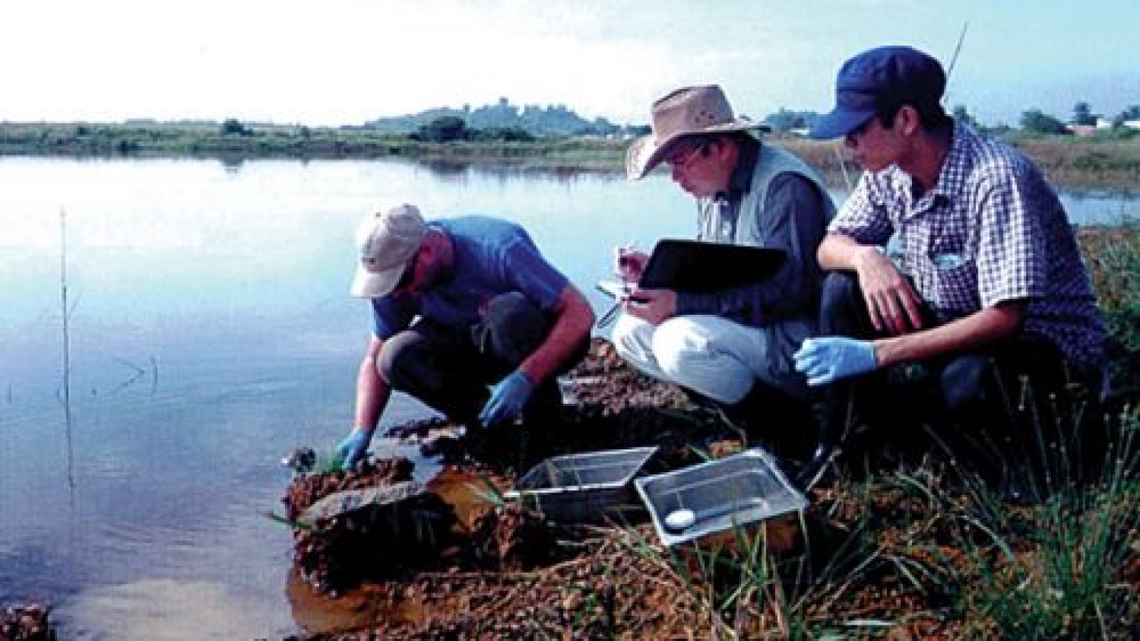 Documentary on Vietnamese AO victim screened in US