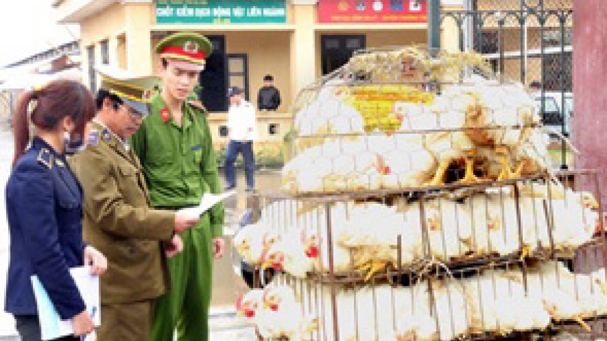 Hand, foot and mouth disease spirals in Ho Chi Minh City