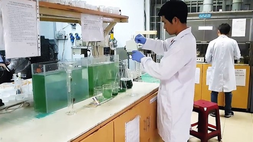 HCM City students find way to grow spirulina at home