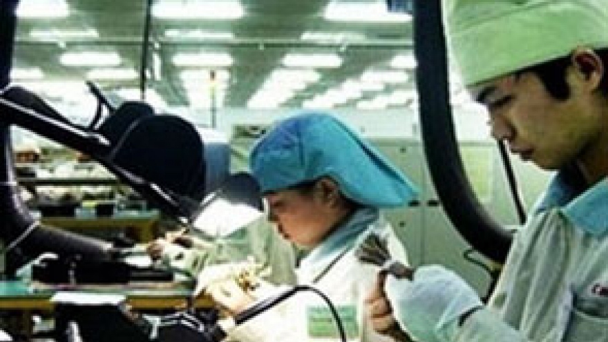 Japan seeks business opportunities in Vietnam 
