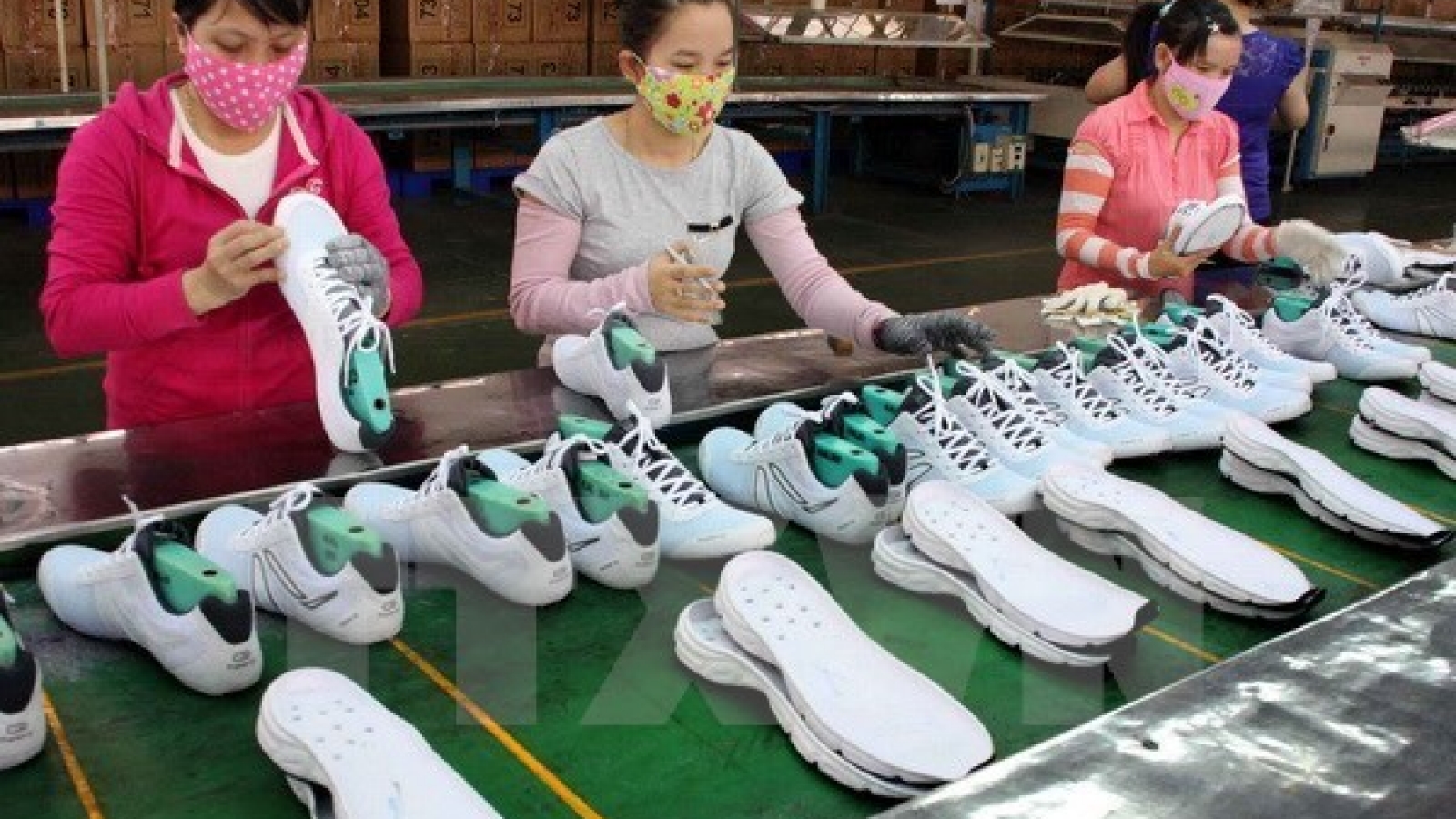 Development fund offers financial aid to SMEs