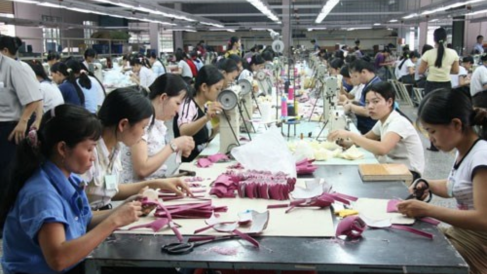 MoF to accelerate SOE equitisation