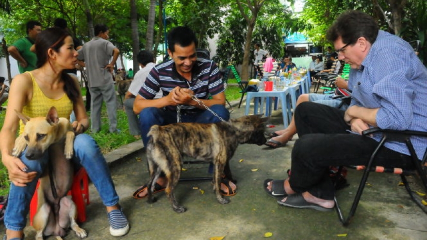 Dogs rehearse for national canine competition