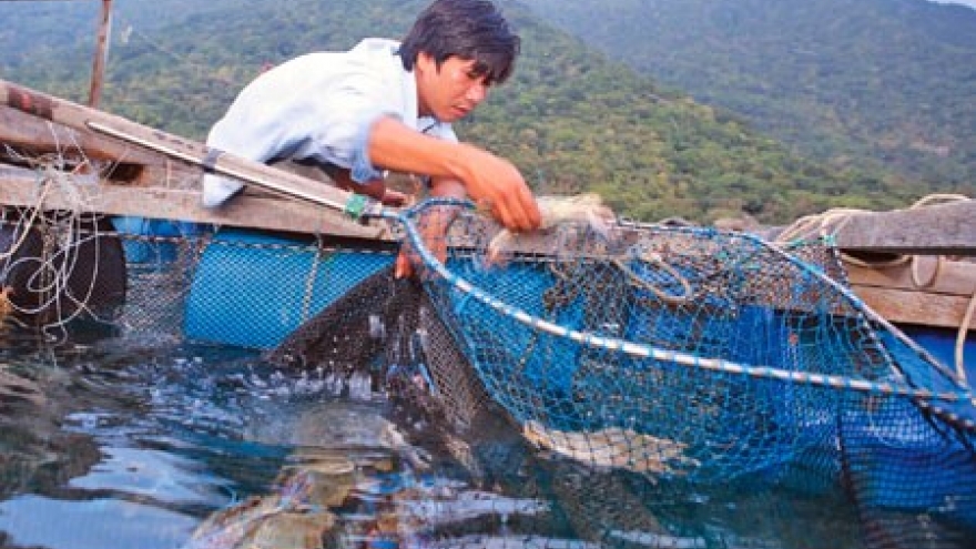 Vietnam’s coastal zones boast rich resources