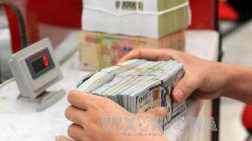 SBV to take synchronous measures in exchange rate management