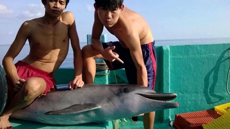 Vietnam police find dolphin-slaughtering fishermen
