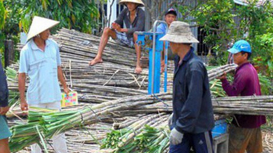 Vietnam's sugar industry in serious decline