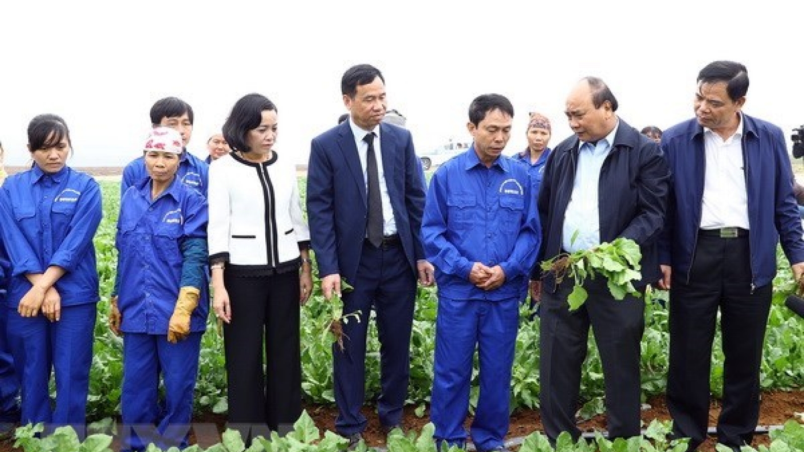 PM calls for application of technology in agricultural production