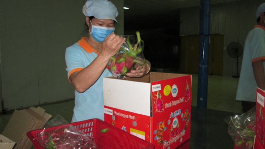 Taiwan reopens its doors to dragon fruit