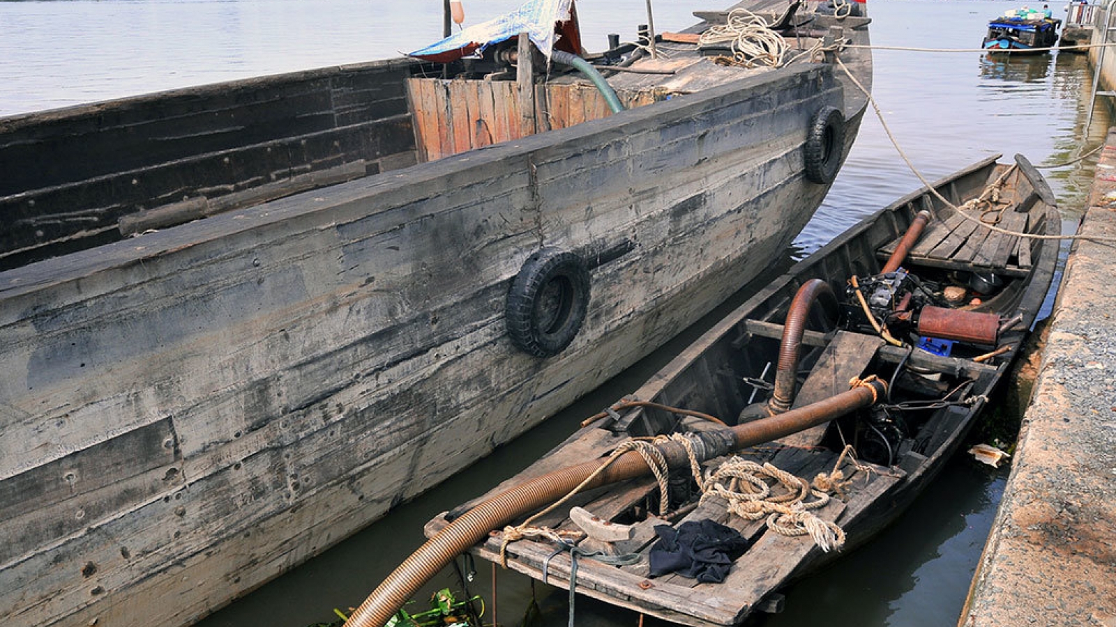 No dioxin contamination in Dong Nai River: scientists