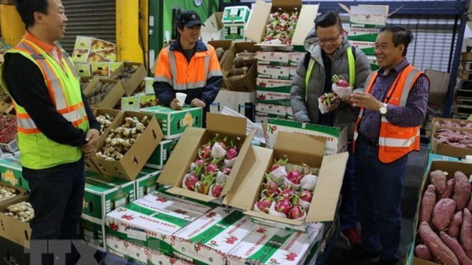 Vietnam promotes farm produce exports to China via official channels