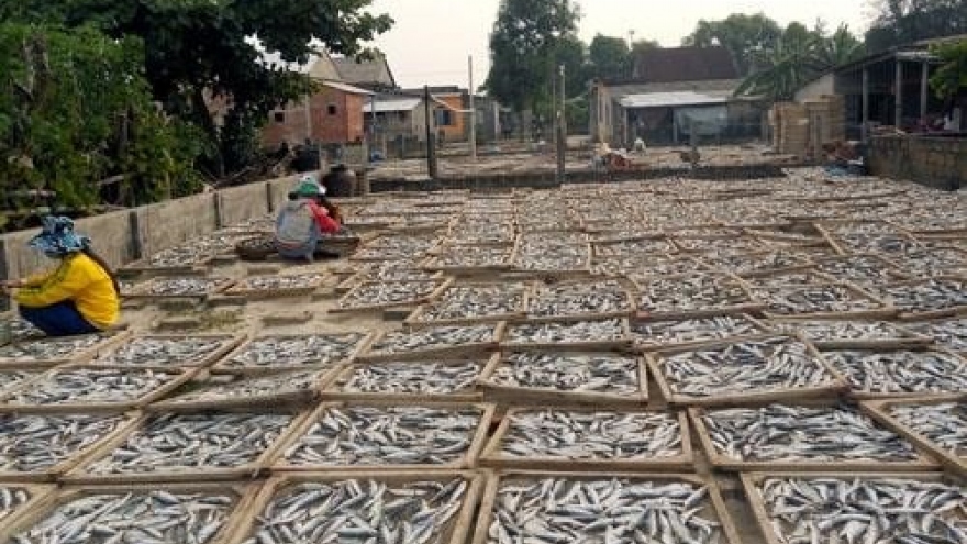 Mekong dried-fish villages prepare for Tet