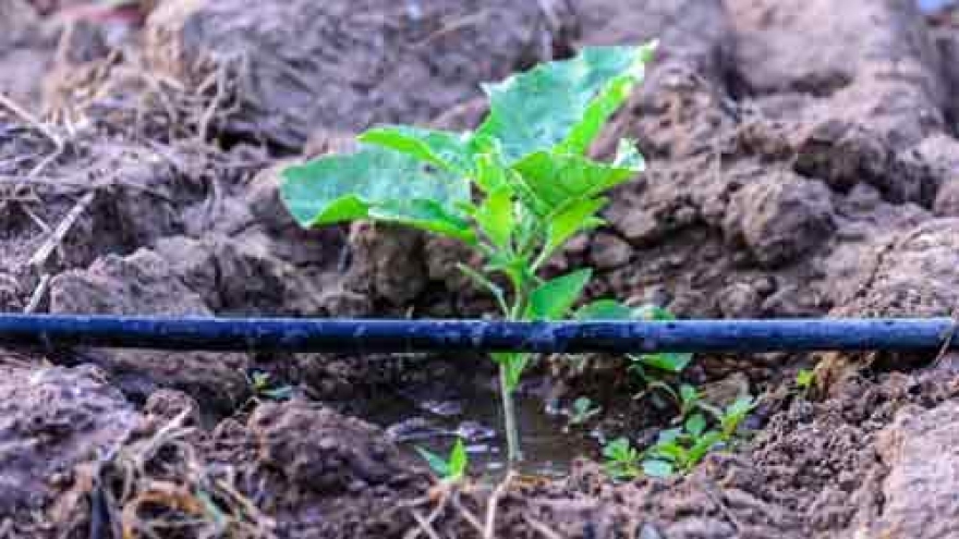 Advanced irrigation technology reaches nearly 144,000 hectares