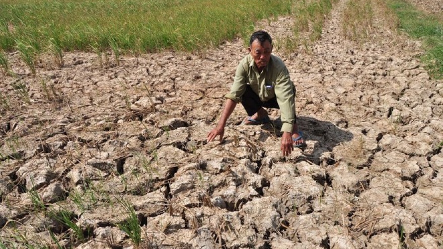 Mekong Delta to receive nearly US$400 million to combat climate change