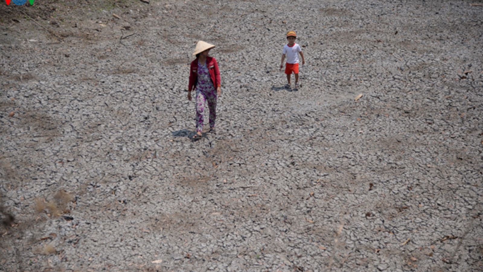 Harsh drought takes heavy toll on Central Highlands