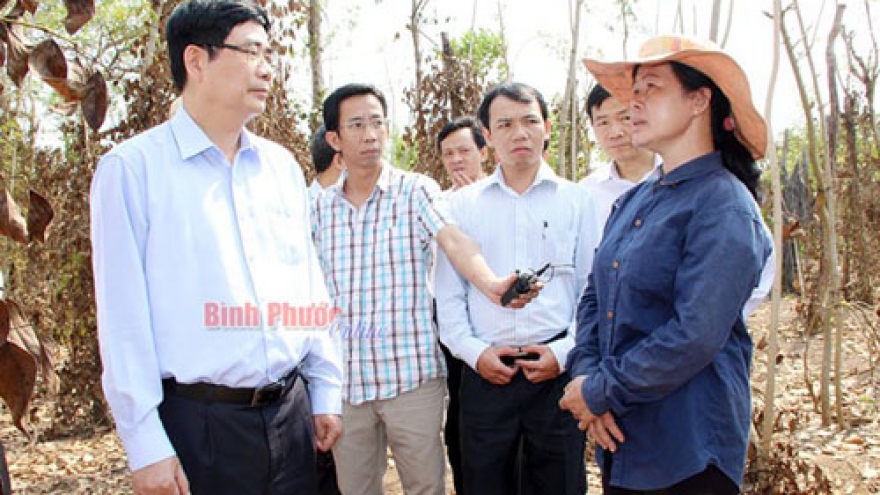 Minister tours drought-hit Binh Phuoc province