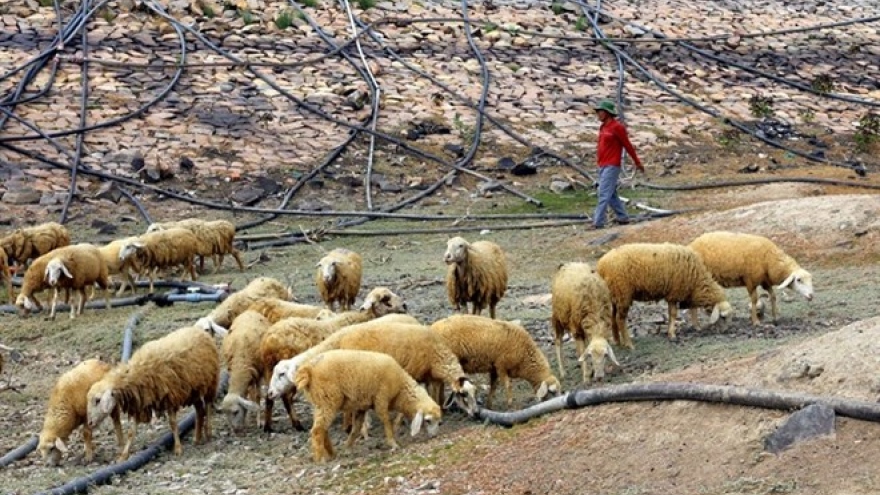 Central region braces for abnormal drought