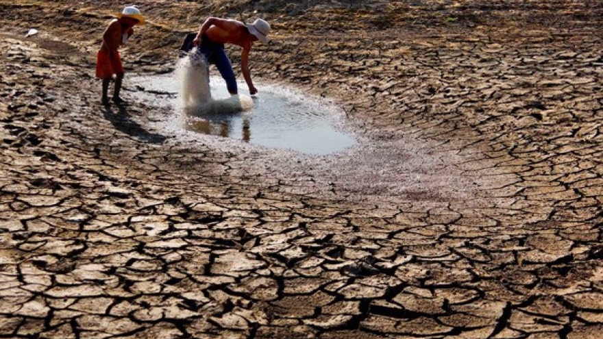 Drought damage to agriculture escalates, US$250 mln and counting