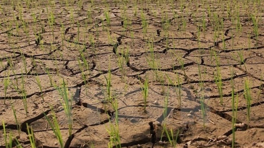 Deputy PM directs south-central region to prevent drought