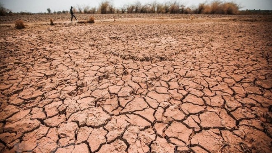 Central Highlands province struggles with prolonged drought