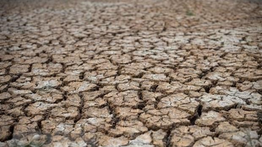 Mekong Delta to face earlier, more severe salinity, droughts