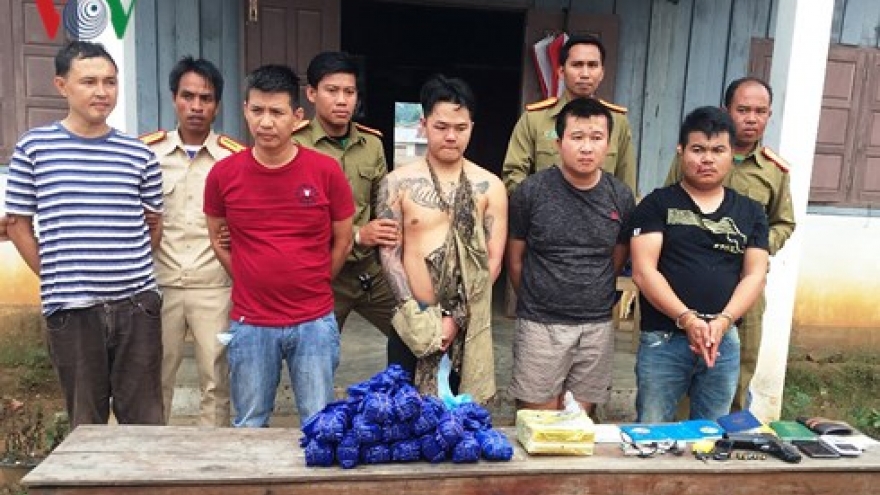 Quang Tri seizes more than 50,600 ecstasy pills
