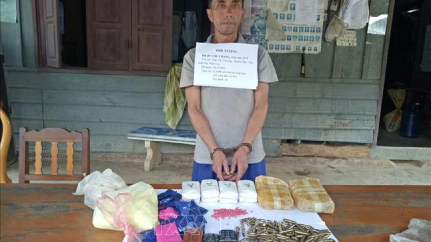Cross border drug ring busted in Thanh Hoa